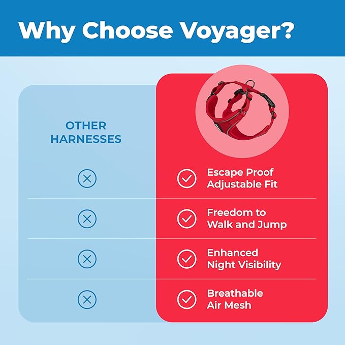 Voyager Escape Proof Cat Harness and Leash Set with Reflective Stitching, Neoprene Handle 5ft - Supports Small, Medium and Large Cats, Kittens for Walking by Best Pet Supplies - Red, XS