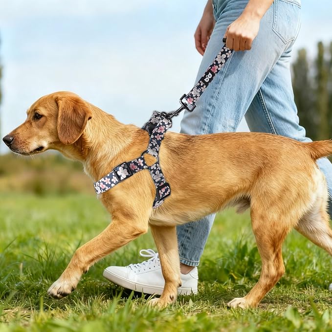 QQPETS Dog Harness Leash Set Adjustable Heavy Duty No Pull Halter Harnesses for Small Medium Large Breed Dogs Back Clip Anti-Twist Perfect for Walking
