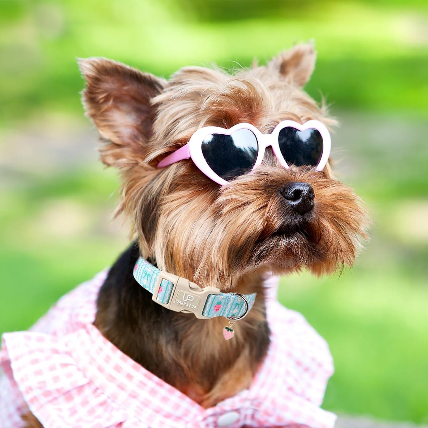 Dog Collar-Adorable Spring/Summer Puppy Collars-Adjustable Strawberry Pet Collar for Small,Medium,Large Dogs