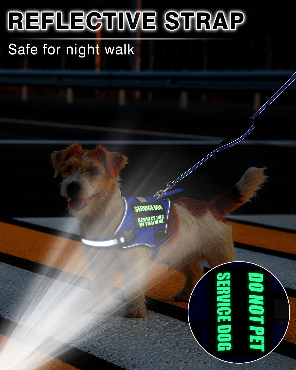 Service Dog Vest Harness and Leash Set+10 Patches for Puppy Small Dogs,Do Not Pet Emotional Support Dog Vest with 2 Soft Padded Handle for Everyday/Training (Blue XS)