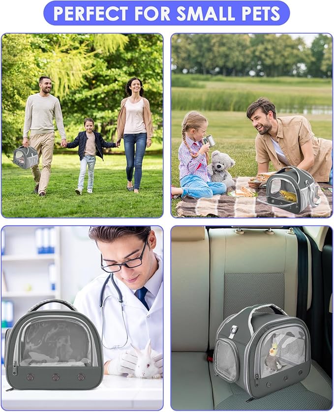 Bissap Bearded Dragon Travel Carrier, Portable Guinea Pig Carrier Bag Tortoise Carrier Pouch for Bunny Hamster Chinchilla Hedgehog Lizard Bird Outgoing Reptile Travel Carrying Case - Grey