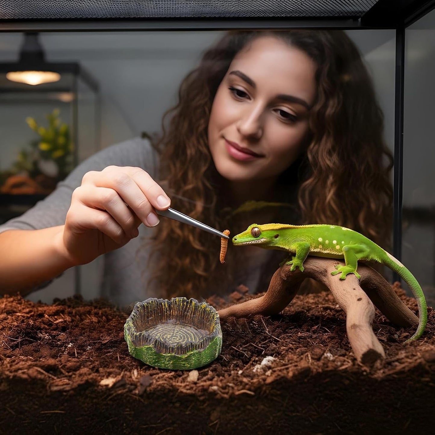 3Pcs Reptile Water Dish Hermit Crab Water Bowl Small Reptile Feeding Dish for Bearded Dragon Lizard Leopard Gecko
