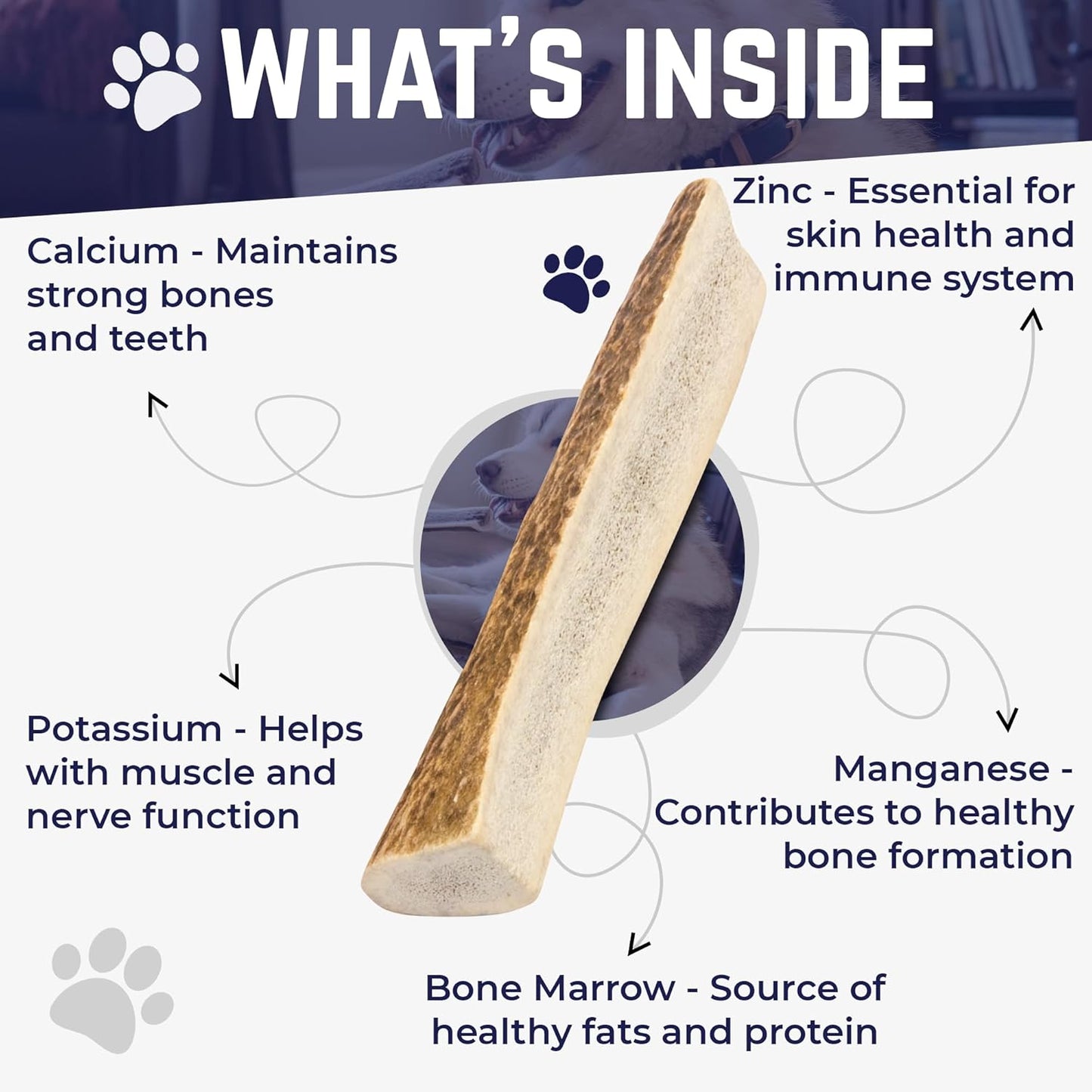 Devil Dog Pet Co. Split Elk Antlers for Dogs, Small 4"+, 2 Pack, Grade A Long Lasting Chew for Aggressive Chewers, Premium USA Naturally Shed Antler – Healthy, No Odor, Durable Dog Chew