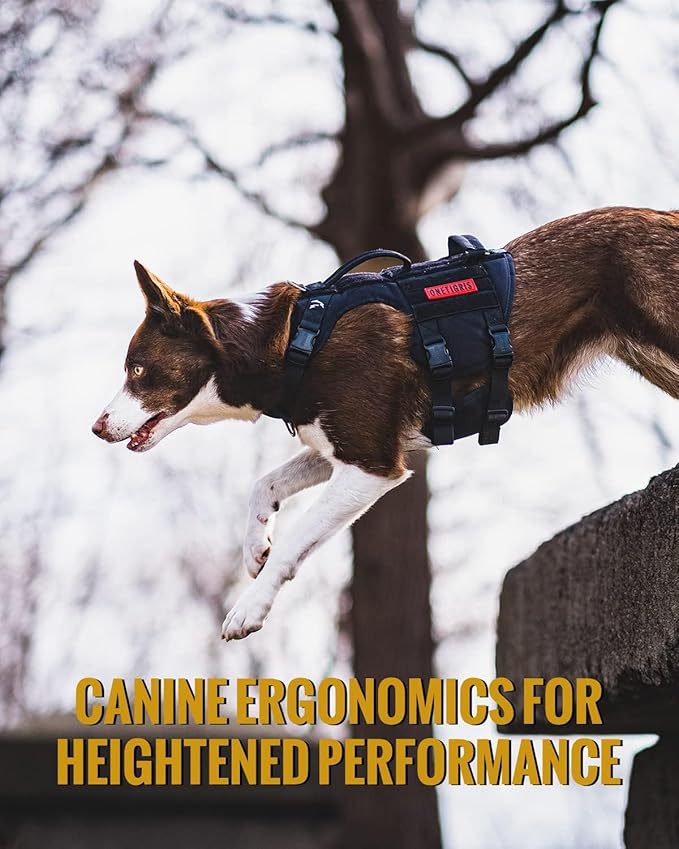 OneTigris Tactical Large Dog Harness, 5X Metal Buckled No Pull Service Dog Harness Vest with Hook & Loop Panels, Military Heavy Duty Dog Vest for Walking Hiking Training