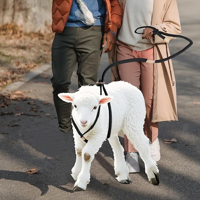 Goat Harness, Goat Supplies, Goat Harness for Walking, Washable Goat Leash, Goat Accessories, Livestock Supplies for Goats, Sheeps