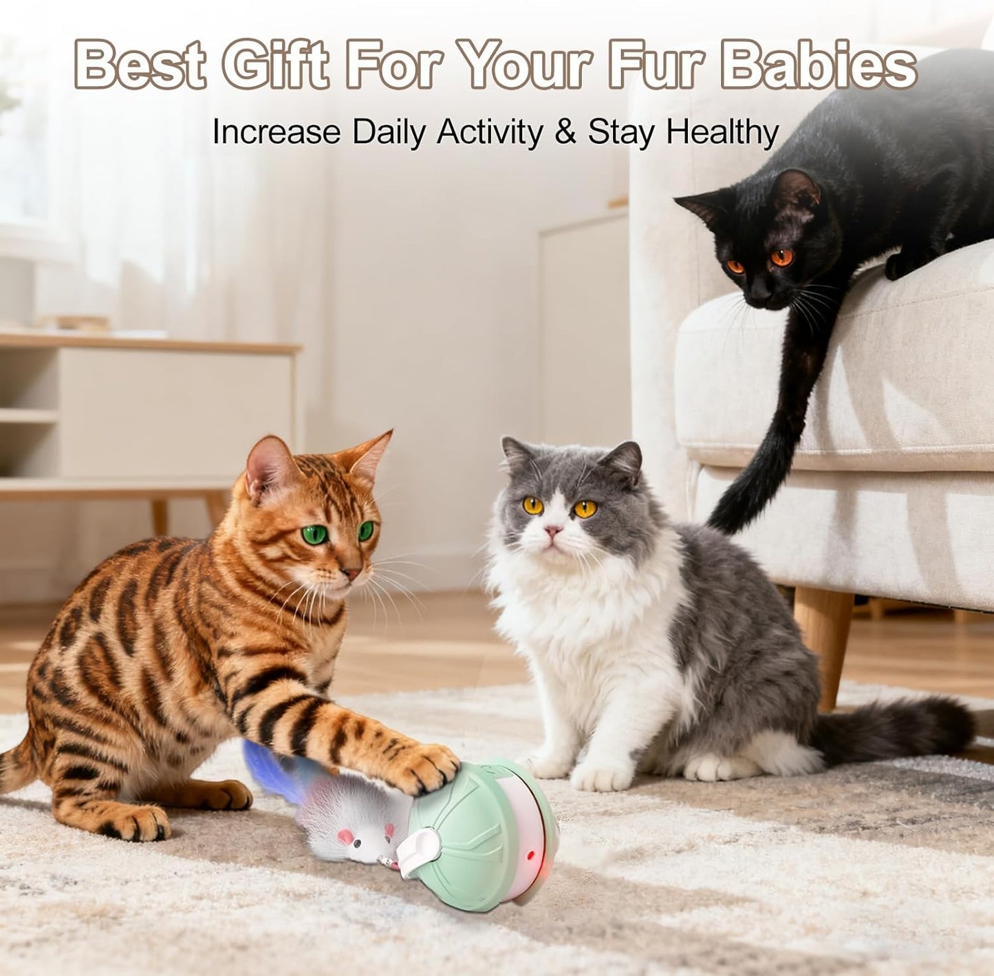 Interactive Cat Toy Ball - 2-in-1 Indoor Cat Toy with Feather Attachment and Laser Interactive Cats Balls, Moving Electric Rolling Ball Toys Designed for Bored Kittens and Adult Cats
