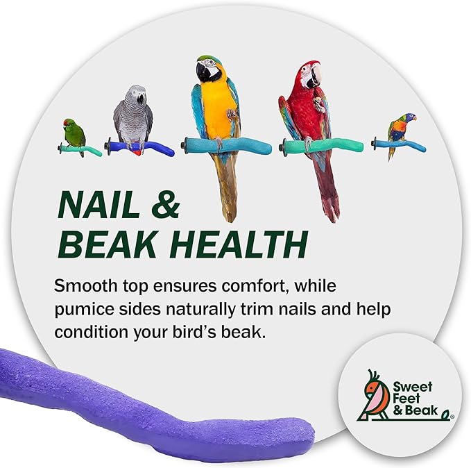 Sweet Feet and Beak Brid Cage Safety Pumice Perch - Trims Nails and Beak - Promotes Healthy Nails and Beaks - Safe Non-Toxic Bird Supplies for Bird Cages - Large 12"