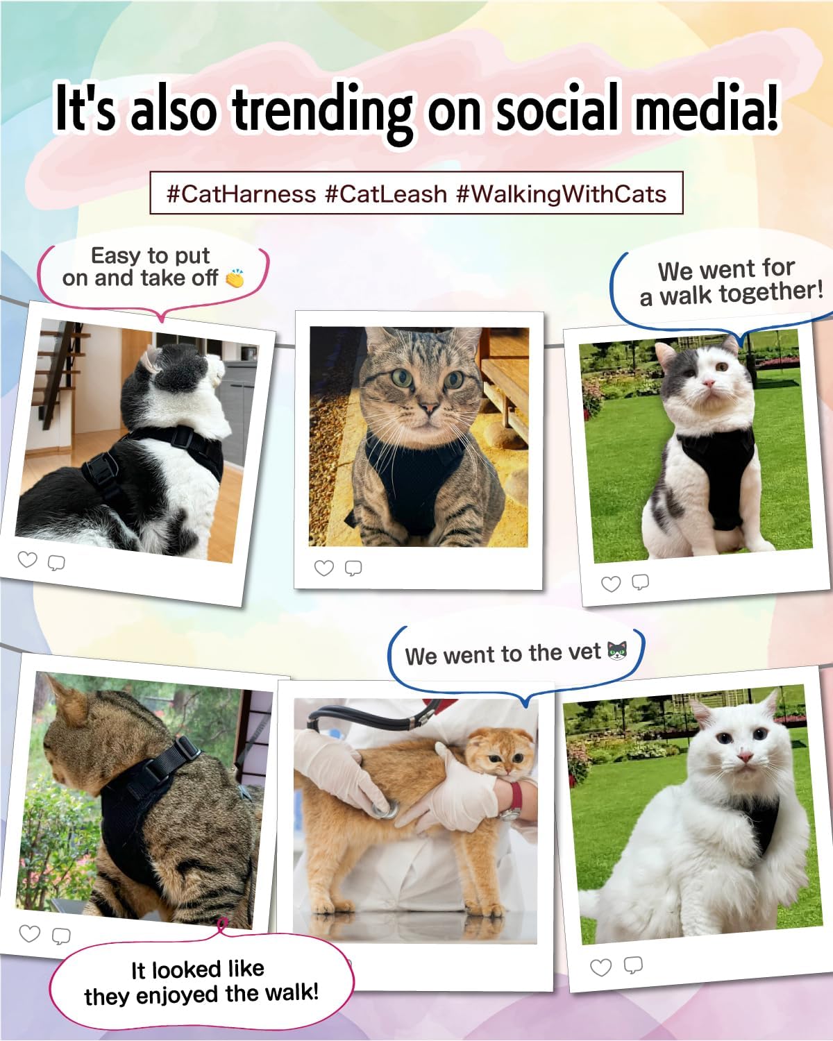 Cat Harness Escape Proof with Leash for Walking, Travel Vest Soft Chest Support, Adjustable Size, Escape Proof Soft Adjustable Vest Harnesses, Breathable, Kittens, Small Dogs (美/背縄/藍1/XS)