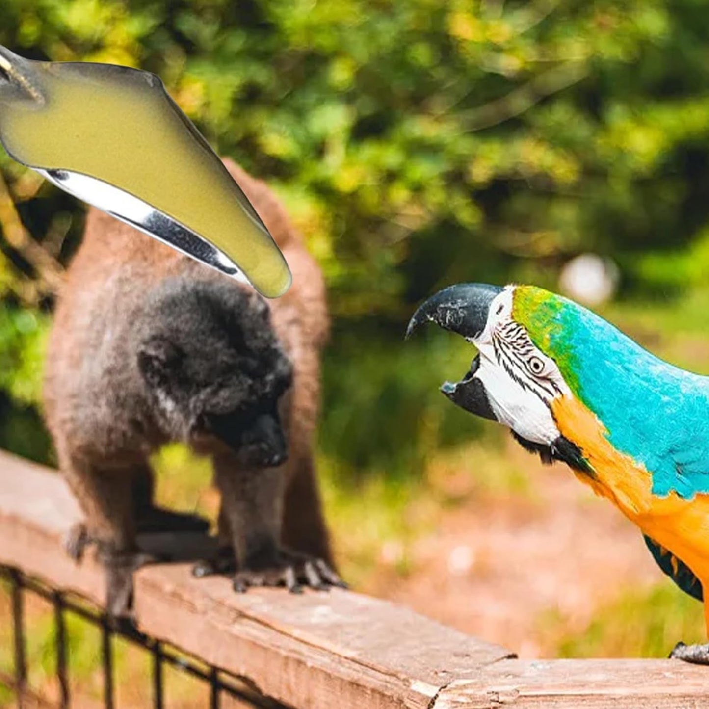 Baby Bird Feeding Syringe Set, Pet Parrot Milk Feeding Syringe with Tubes, Parrot Feeding Tubes Measuring Tools for Feeding Pets Scientific Industrial Labs… (20ml + 2 spoons)