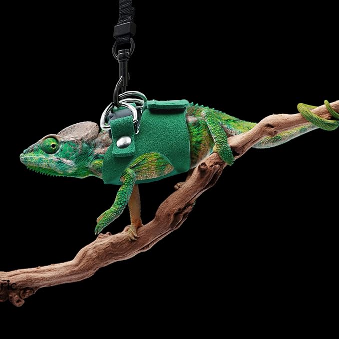 Bearded Dragon Harness and Leash Set, 3 Size Adjustable Soft Leather Reptile Leash, Lizard Harness with Retractable, Small Animal Outdoor Walking Vest with Traction Rope, 3 Pack (Green)