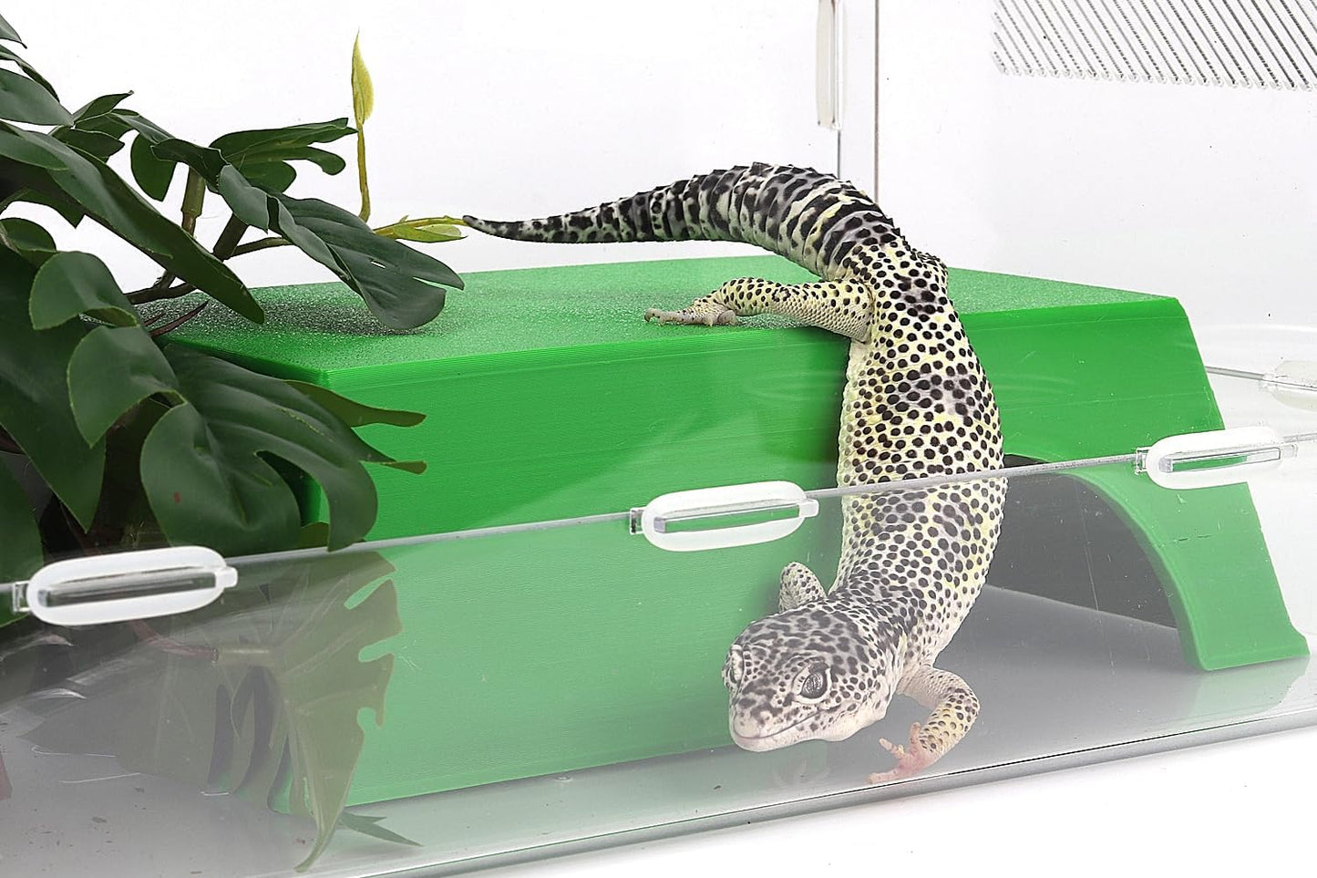 Snake Hide, Leopard Gecko Tank Accessories for Reptile Ball Python Crested Gecko Lizard Bearded Dragon - GreenHideXL