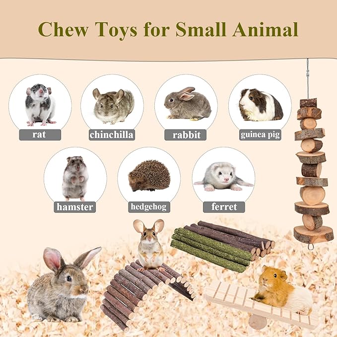 Grddaef Hamster Toys, Guinea Pig Chew Toys Small Animal Enrichment Toys Cage Accessories for Chinchilla Gerbils Rats Bunny Mouse