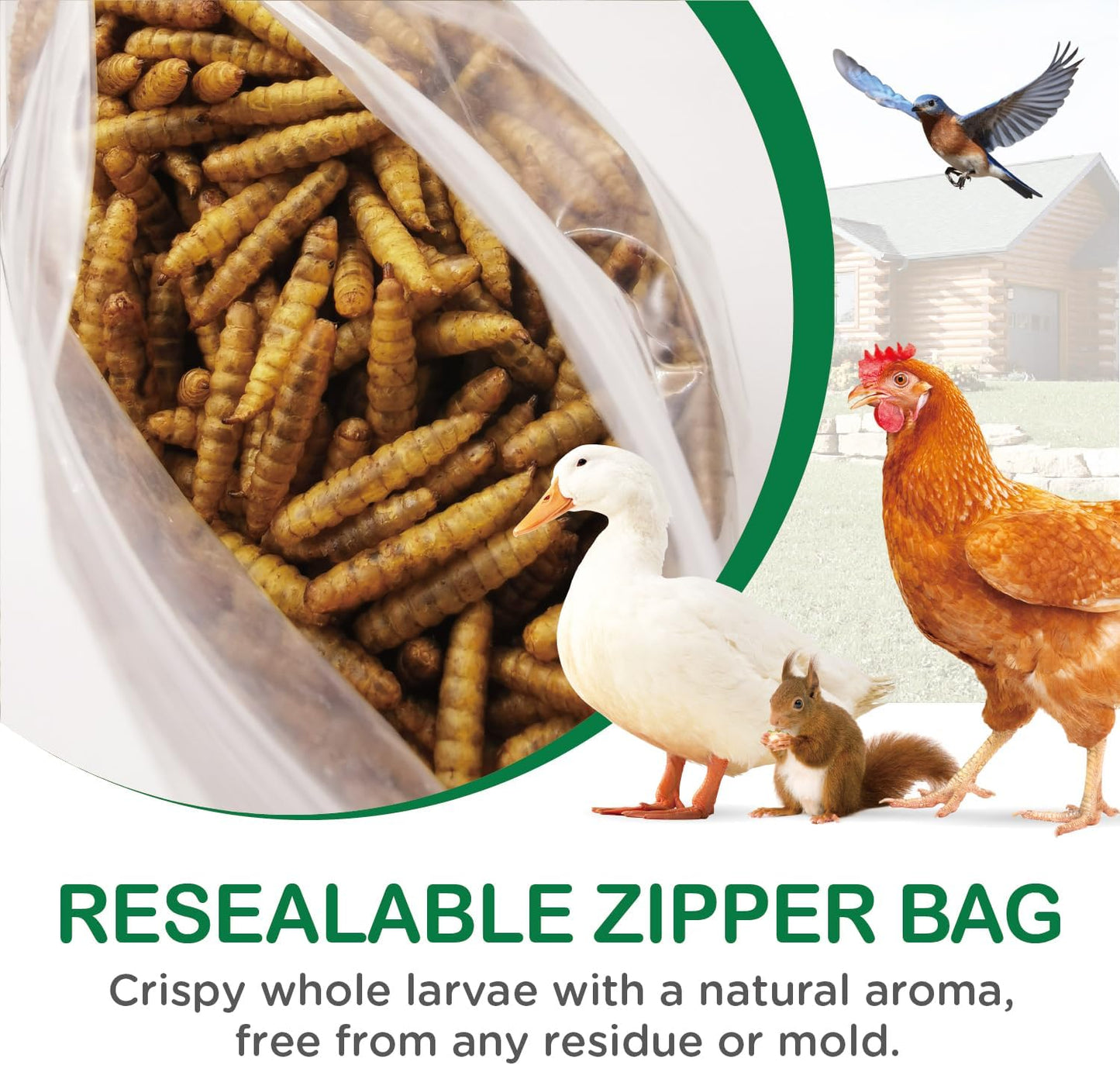 Dried Black Soldier Fly Larvae 5 LB, High Protein Natural Non-GMO More Calcium Than Mealworms Chicken Feed & Bird Food, Treats for Laying Hen, Ducks, Wild Birds