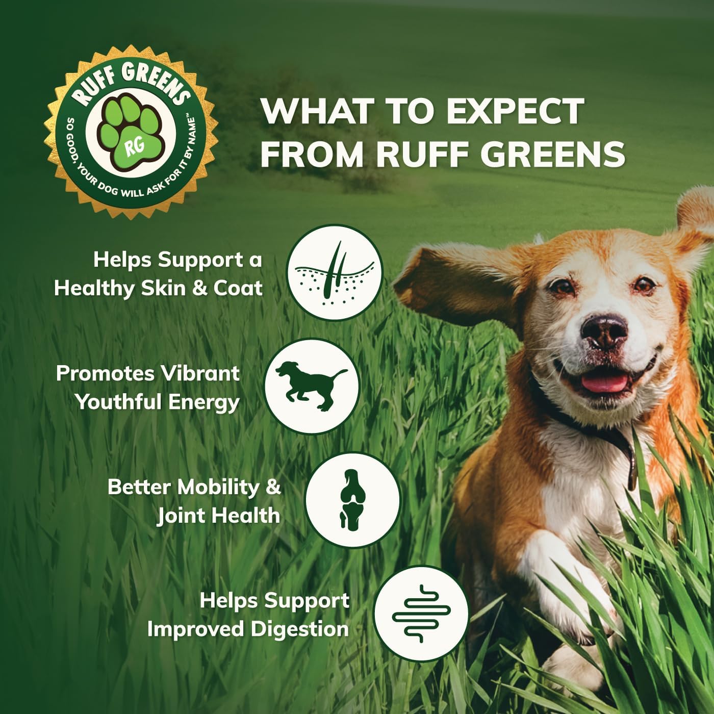 Ruff Greens - Dog Food Topper, Hip & Joint Supplement for Dogs - Probiotics Digestive Enzymes Powder for Mobility Support, Essential Vitamins & Minerals, 6.9 Ounce