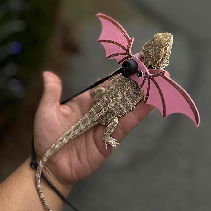 ADOGGYGO Bearded Dragon Leash Harness, 3 Size Pack Pink Lizard Wing Harness with Removable Leash for Bearded Dragon Lizard Reptiles