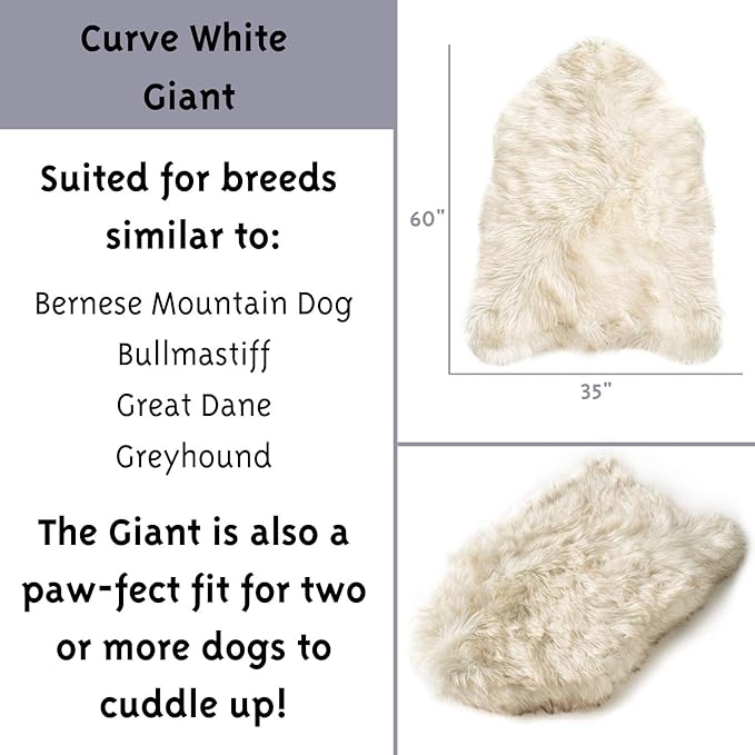 PAW BRANDS PupRug Orthopedic Dog Bed for Large Dogs with Fluffy Soft Faux Fur and Memory Foam for Joint Pain Relief, Machine Washable and Waterproof Couch Bed, White, Extra Large