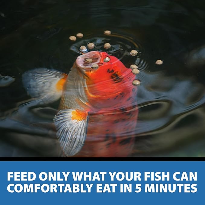 CrystalClear Staple Pond Fish Food for Healthy Koi & Goldfish, Protein Packed Floating Pellets for Summer Nutrition, Easy Digestion, 2.2 Pound Bag