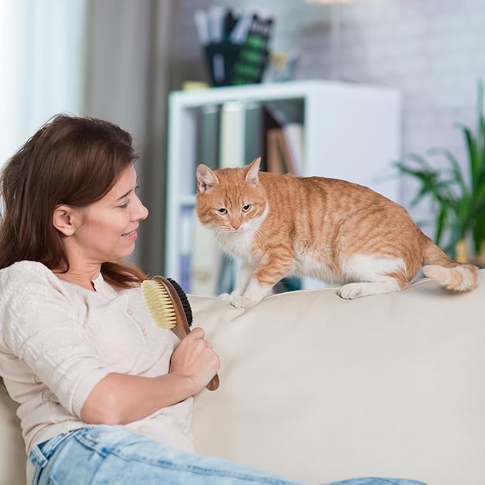 Takavu Double-Sided Boar Bristle Cat Brush - Natural Grooming Tool for Gentle Cleaning, Shine & Reduced Loose Hair - Wood Handle Pet Brush