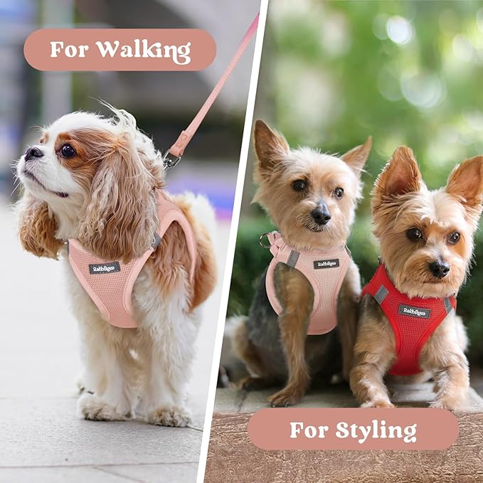 rabbitgoo Small Dog Harness, Step-in Soft Mesh Puppy Vest with Safety Buckle, Breathable Reflective Pet Harness for Extra Small Dogs, Pink XXS