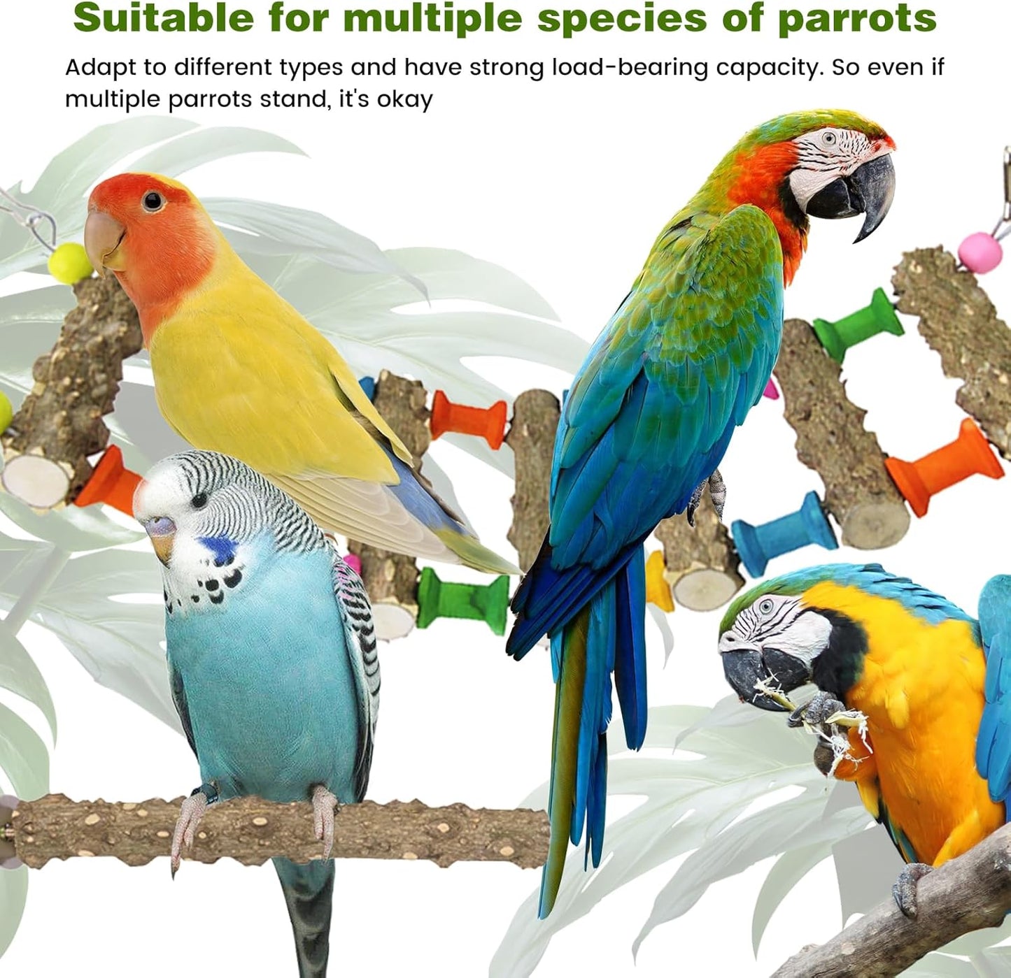 Parrot Cage Accessories-Pure Wood Parrot Perches Toys,Climbing Ladder,Bird Rotating Perch,Bird Swing,Suitable for Parakeet,Conure,Cockatiel,Mynah,Love Birds Finches