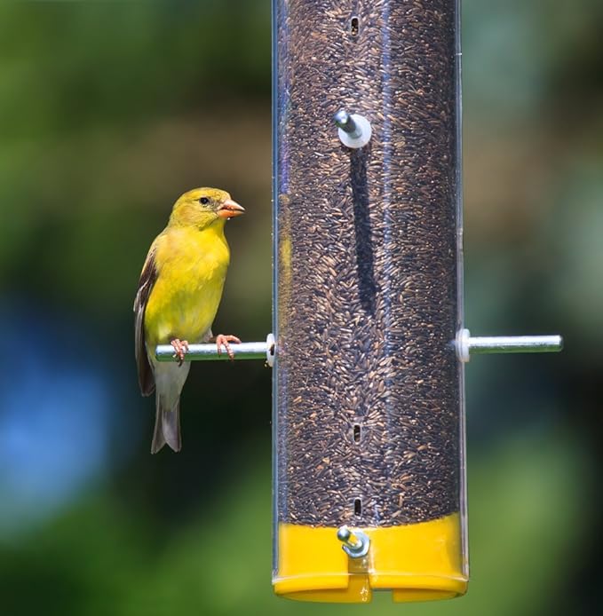 Wagner's 62053 Nyjer Seed Wild Bird Food, 20-Pound Bag