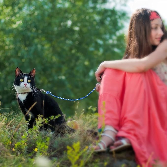 Rypet Reflective Cat Long Leash - 30 FT Escape Proof Walking Leads Yard Long Leash Durable Safe Personalized Extender Leash Traning Play Outdoor for Kitten, Puppy, Rabbit and Small Animals