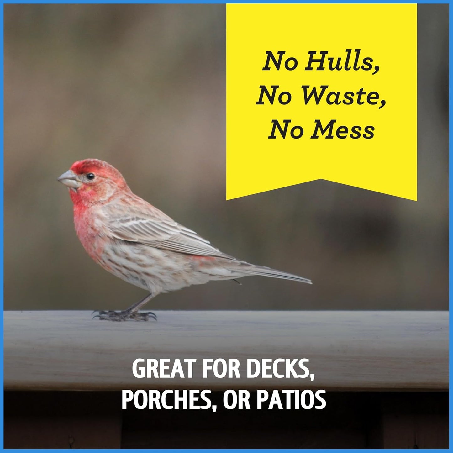 Pennington Select Chips & Bits Wild Bird Seed for Outside Feeders, High-Protein, No-Hull & No-Waste, Sunflower Chips & Peanut Bits Attract Songbirds,15-lb. Bag