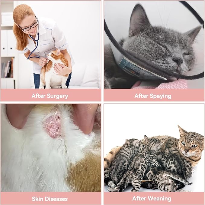 2 PCS Cat Recovery Suit for Spay Abdominal Wounds Female, Cat Onesie for Cats After Surgery, Pet Surgery Recovery Suit Kitten Onesie for Cats Anti Licking (Grey (2PCS), Small)