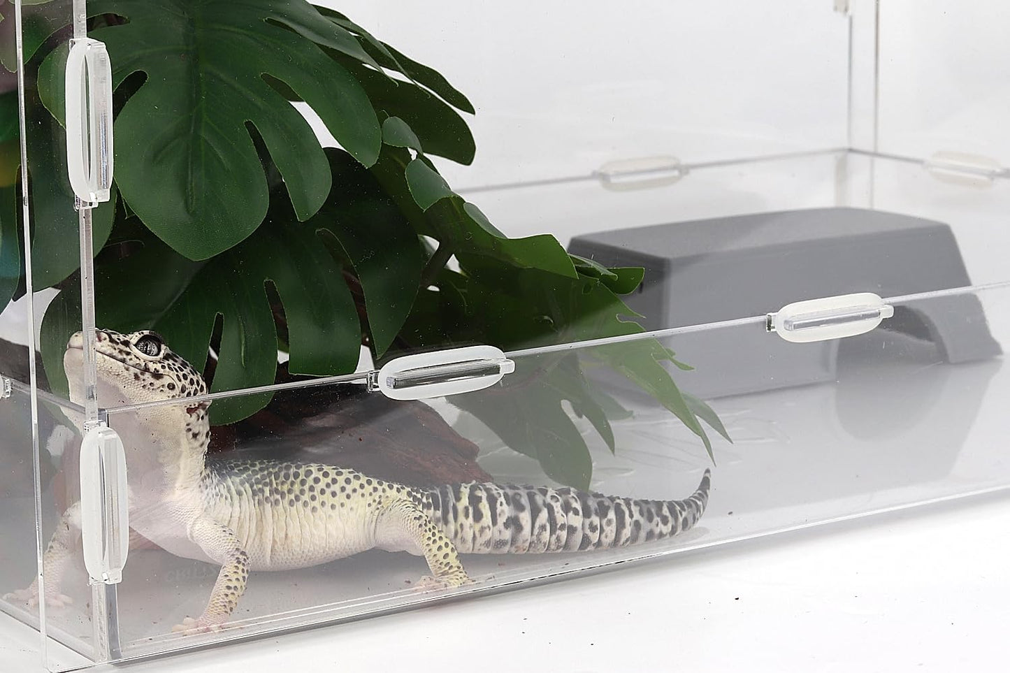 Snake Hide, Leopard Gecko Tank Accessories for Reptile Ball Python Crested Gecko Lizard Bearded Dragon - GrayHideS