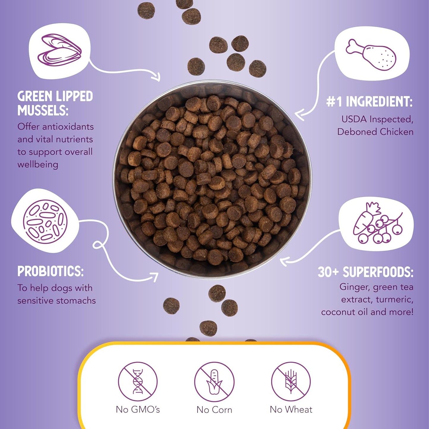 Health Extension Large Bites Chicken & Brown Rice Dry Dog Food, Protein-Rich Formula with Probiotics & Essential Nutrients for Large Breeds (30lb)