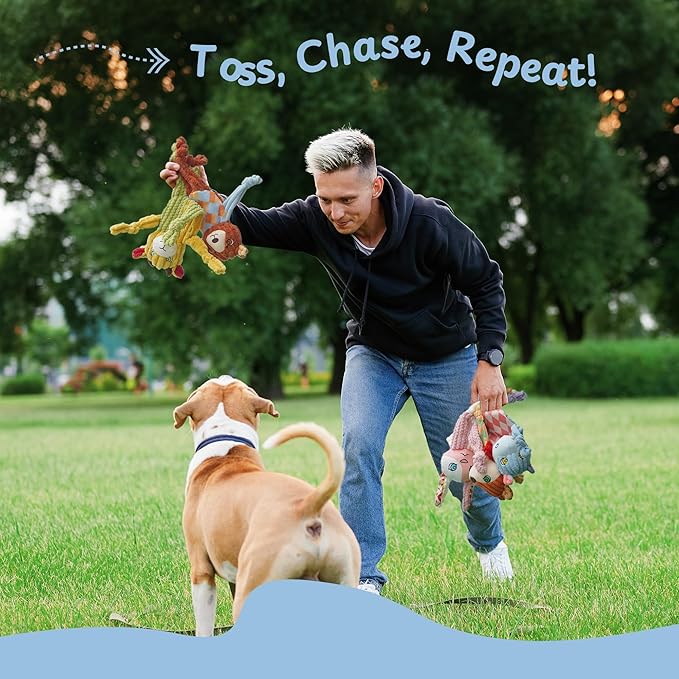 Nocciola Stuffless Squeaky Dog Toys 5 Pack, Body No Stuffing Small Dog Toy Variety Colors Animal Plush Puppy Toys with Squeaker Crinkle Sound to Keep Them Busy