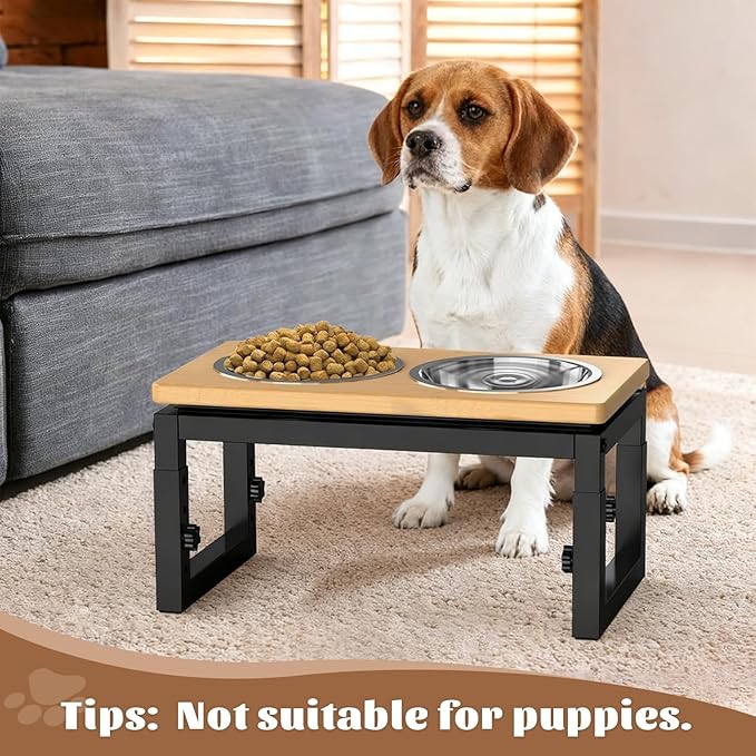 Dog Bowls Elevated, 4 Height & Angle Adjustable Raised Dog Bowl Stand, Elevated Dogs Bowl Stand for Medium Sized Pet, Sturdy Bamboo Dogs Feeding Station with 2X 48oz (6cup) Stainless Steel Dishes