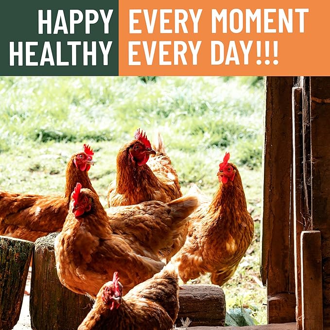 5LB Non-GMO Dried Black Soldier Fly Larvae for Chicken – 85X More Calcium Grubs Than Mealworms for Strong Eggshells & Healthy Growth - High Protein for Chickens, Birds, Ducks, Geese & Pets