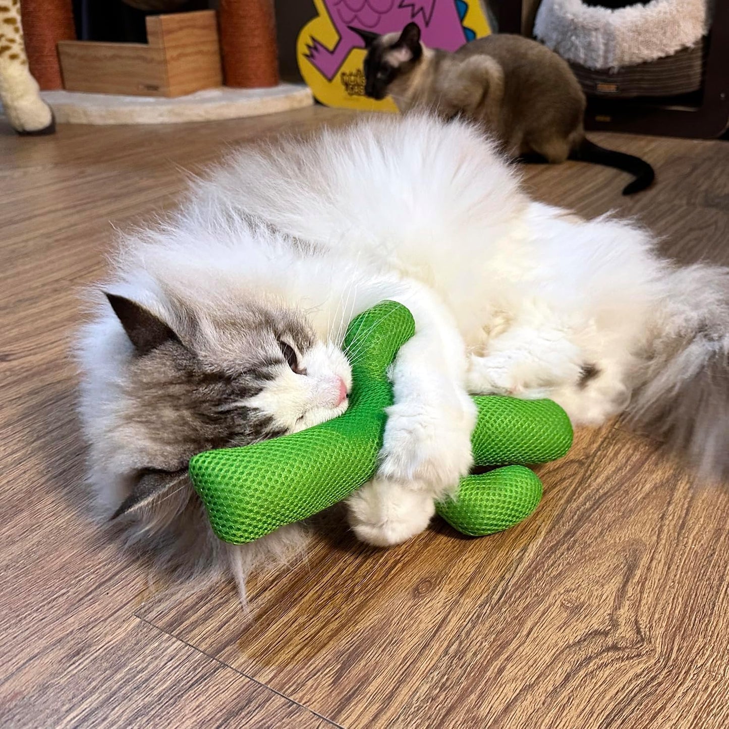 TTcat Catnip Silvervine Matatabi Pillow for Cats & Kittens,Large Cat Cactus Toy Cat Kicker Toy Chew Toy for Indoor Cats.