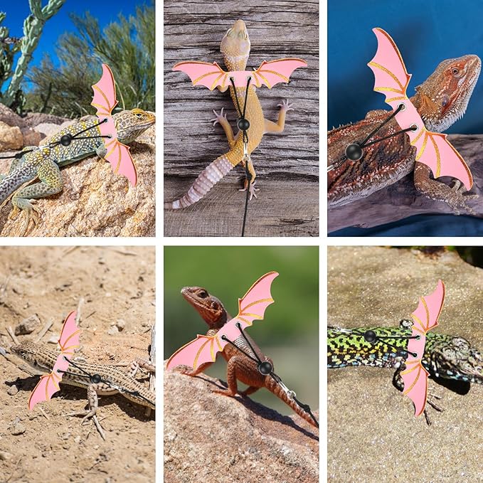 3PCS Pink Bearded Dragon Harness and Leash, Adjustable Lizard Harness with Wings for Reptile Lizard, Amphibians, Outdoor Walking Vest with Traction Rope (S, M, L)