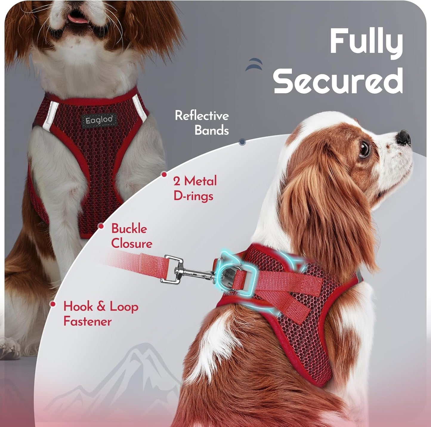 Eagloo Small Dog Harness and Leash Set, Step in Puppy Vest with Breathable Soft Mesh, Walking Reflective Pet Harness for Medium Small Dogs, Red, M