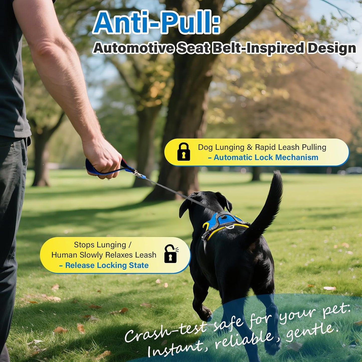 No Pull Dog Harness, 2 in 1 Retractable Harness with Auto-Lock, Reflective Breathable Mesh and Handle, Adjustable Leash Set for Small, Medium,Large Dogs,Cats (Color 2, XL)