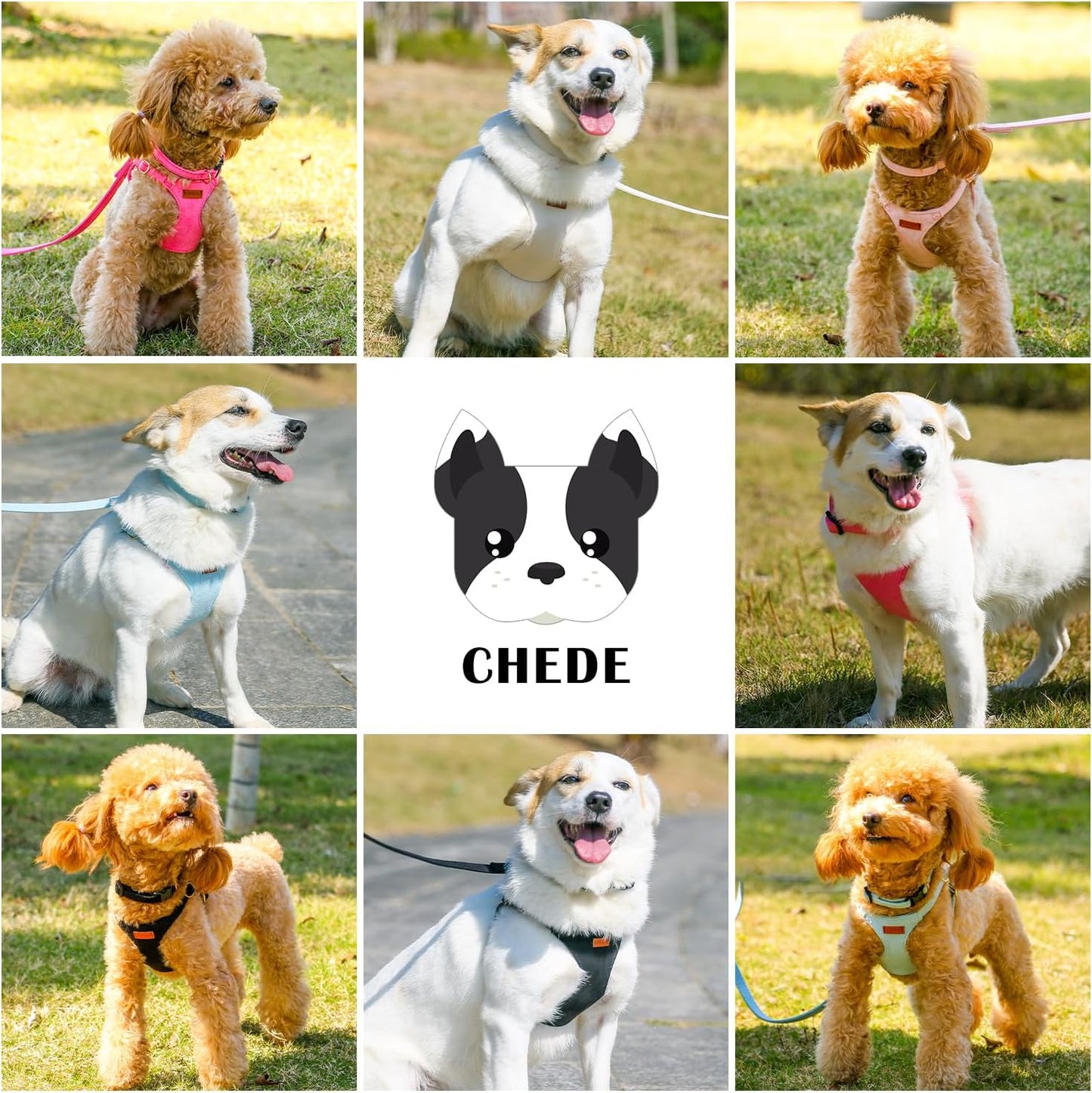 No Pull Dog Harness- Lightweight, Soft, Adjustable Small Harness Collar and Leash Set, Suitable for Cats Puppy Small and Medium-Sized Dog Outdoor Training and Running (hotpink, M)