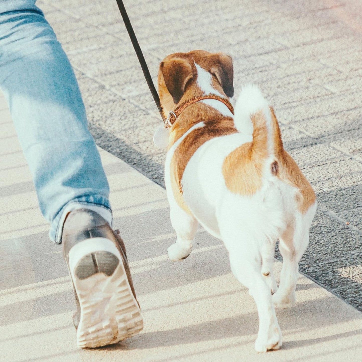 Brown Bohemian Aztec Pattern Dog Collar Cat Big Neck Collars Soft for Small Extra Large Heavy Duty Pet Dogs