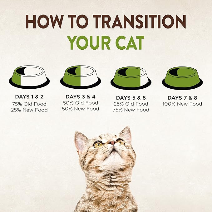 Wellness CORE Signature Selects Chunky Adult Wet Cat Food, Natural, Protein-Rich, Grain Free, 5.3 Ounce, 12 Pack (Chicken & Salmon)