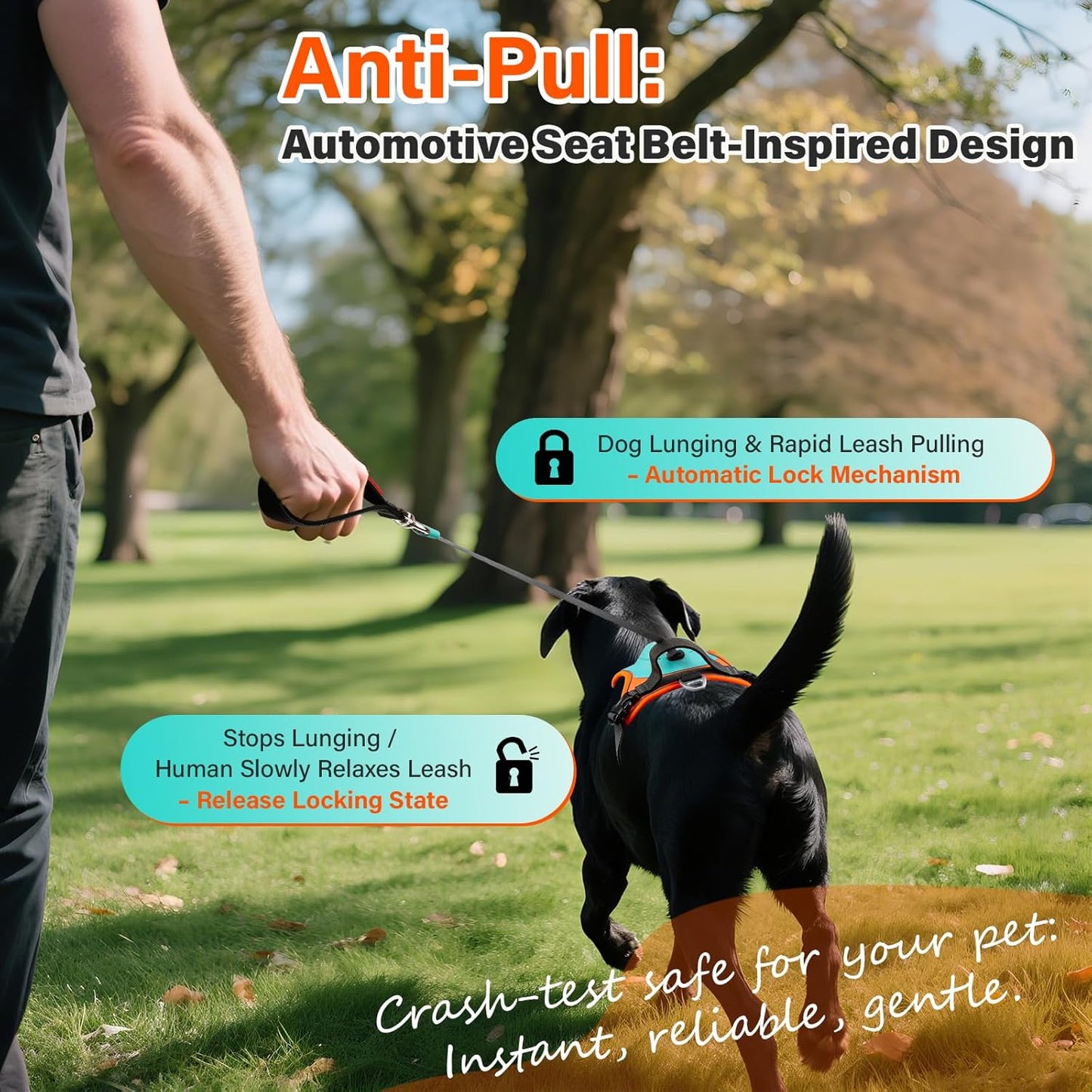 No Pull Dog Harness, 2 in 1 Retractable Harness with Auto-Lock, Reflective Breathable Mesh and Handle, Adjustable Leash Set for Small, Medium,Large Dogs,Cats (Color 1, M)