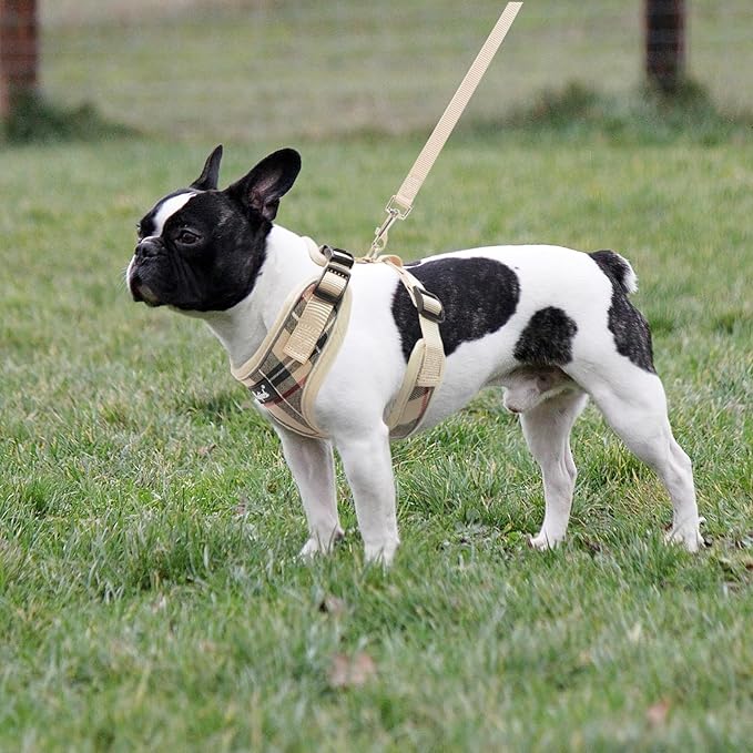 PUPTECK Soft Mesh Dog Harness and Leash Set Pet Puppy Cat Adjustable Reflective Padded Vest No Pull Harnesses, Beige, XS