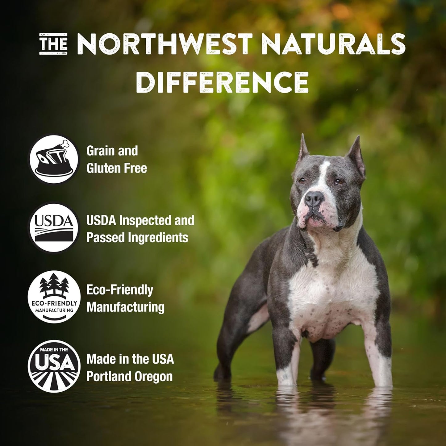 Northwest Naturals Freeze-Dried Beef Dog Food - Bite-Sized Pieces - Grain-Free, High-Protein, Raw Diet, Human-Grade, Limited Ingredients, All Natural, Nutrient-Dense, 12 Oz (Pack of 2)