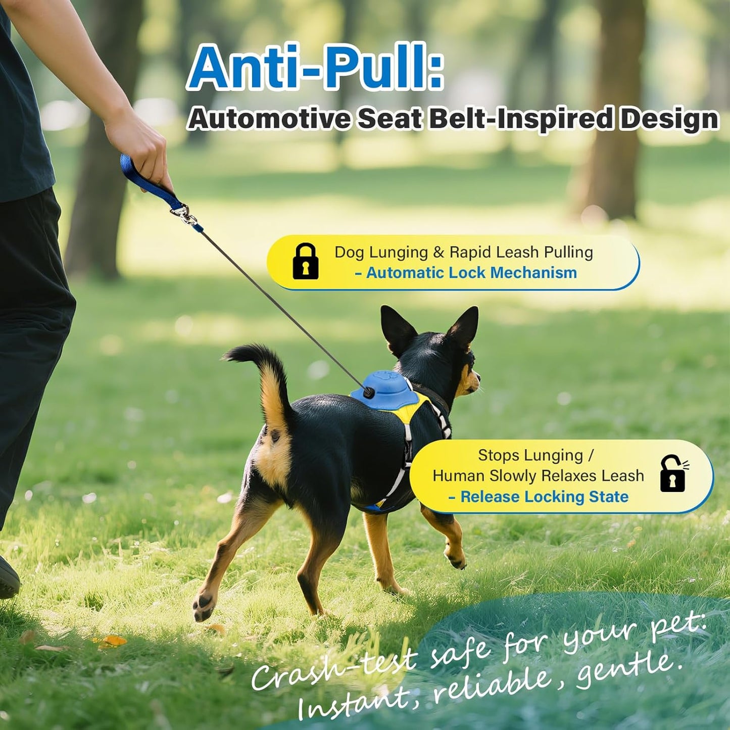 No Pull Dog Harness, 2 in 1 Retractable Harness with Auto-Lock, Reflective Breathable Mesh and Handle, Adjustable Leash Set for Small, Medium,Large Dogs,Cats (Color 2, S)