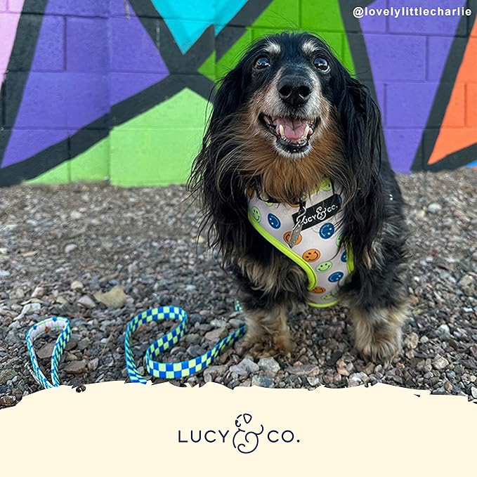 Lucy & Co. Lime Green with Blue Checker Smiley Faces Cute Reversible Dog Harness Walking Halter - Best Designer Pet Harnesses for XS - XL Dogs - Padded Adjustable Vest for Easy Walking (Medium)