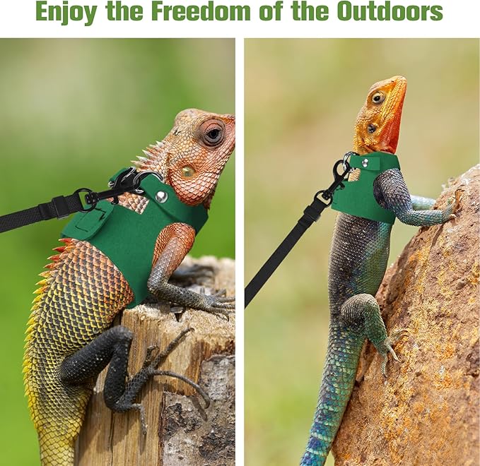 Bearded Dragon Harness Leash Set 3 Size Adjustable Lizards Training Walking Leather Vest Escape-Proof Traction Rope for Outdoor Small Reptiles Animal Squirrels (Green)