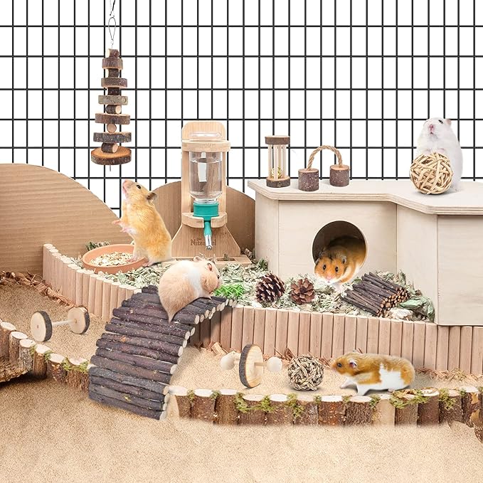 ERKOON 11 Pack Chinchillas Chew Toys, Toys Accessories for Teeth Care, Natural Apple Wood Ladder Bell Roller for Russian Hamster Gerbils Rats Guinea Pigs (11PCS)