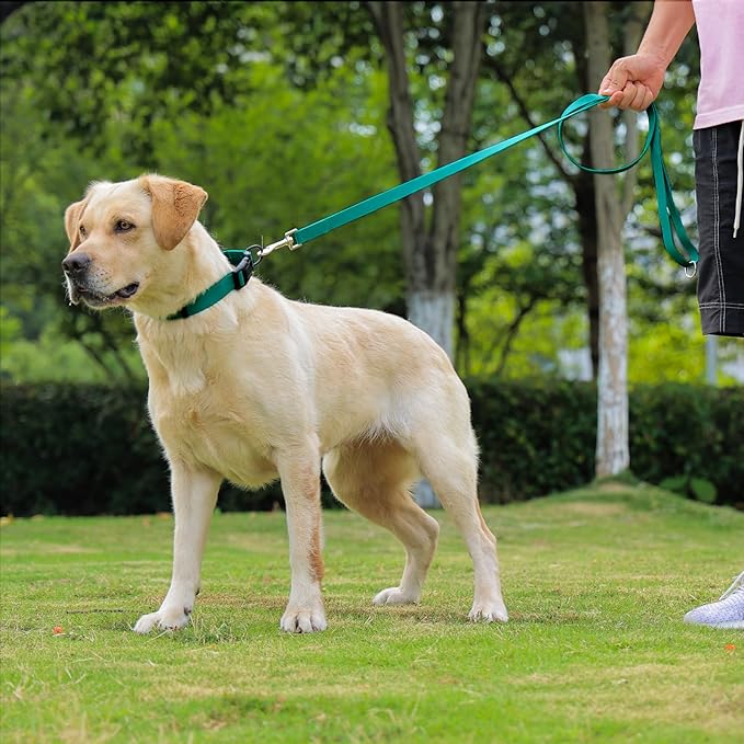 Waterproof Dog Leash, 5/6 FT Durable Odor-Proof Dog Leashes with Strong Metal Hooks Fits Small Medium or Large Dogs (Emerald Green, 5FT - 3/4 inch Width)