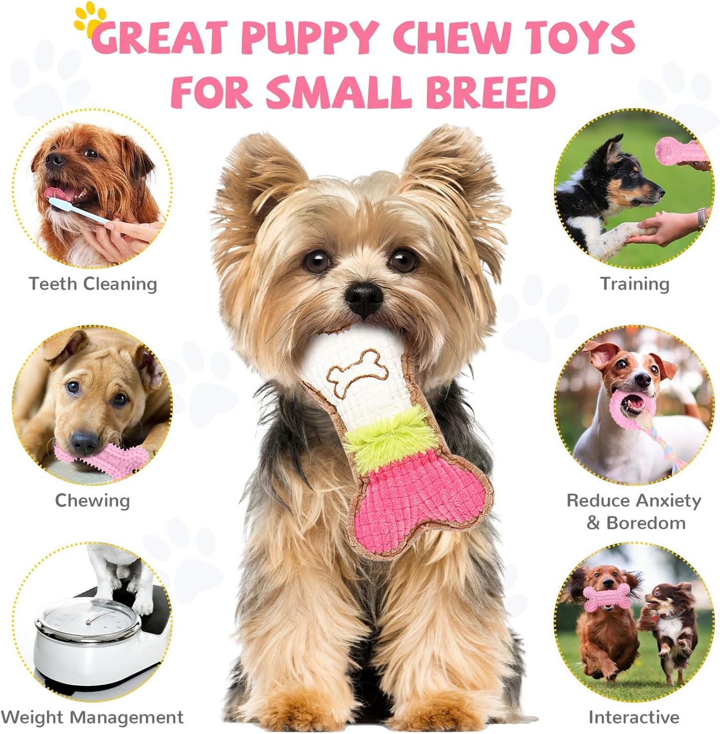 BAEJMJK 6 Pack Puppy Teething Toys Pink Small Breed Dog Chew Toys with Rope Cute Soft Rubber Puppy Toys Set for Cleaning Teeth Interactive Pet Doggy Bone Toys