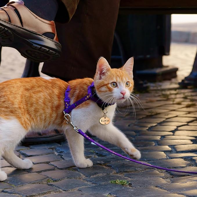 Anavia Small Size Dog Cat ID Tags, Small/XS Personalized Color Plated Stainless Steel Puppy Kitten Name Tags, Customized Engraved Nameplate Pet Collar Tag (Rainbow, Oval)